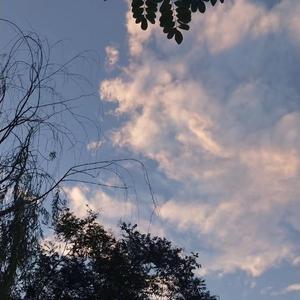 内缘奇缘(高干)笔趣阁
